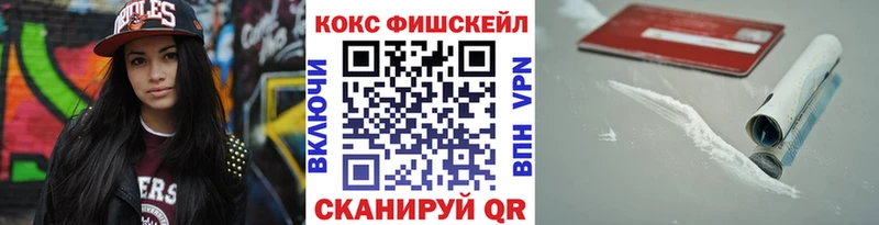 Купить  Юрьев-Польский  Кокаин Fish Scale 