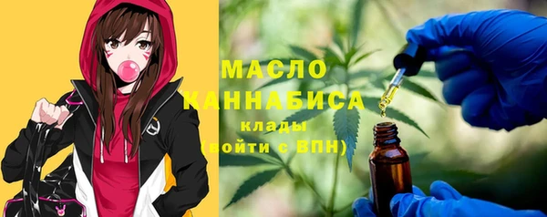 молекула духа Бородино