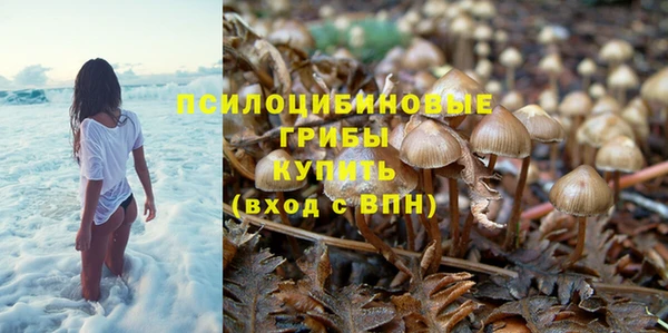 молекула духа Бородино