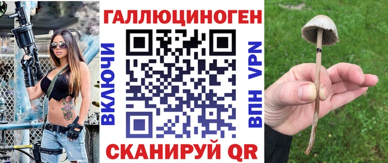 Псилоцибиновые грибы Psilocybine cubensis  Купить  Юрьев-Польский 